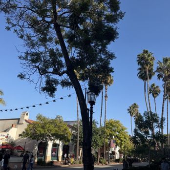 California Pasta - Italian Near Me - Santa Barbara, California California Pasta - Italian Near Me - Santa Barbara, California