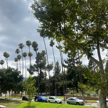Brand Park - All the trees - Parks Near Me - Glendale, California