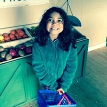 Cherry Crest Adventure Farm - shopping in the fake produce market - Festivals Near Me - Ronks, Pennsylvania