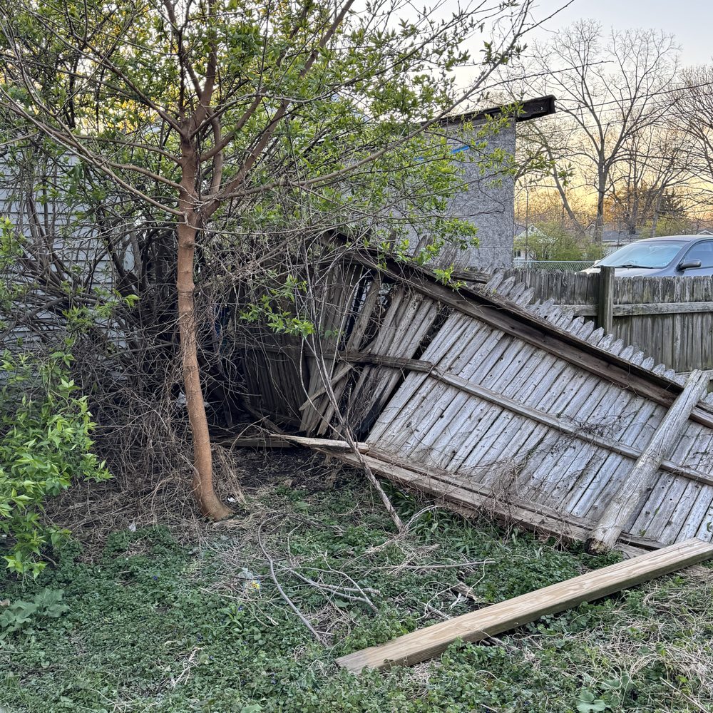 Extreme Tree Care - Tree Services Near Me - Indianapolis, Indiana