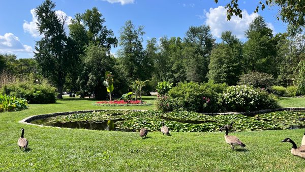 Tower Grove Park by null