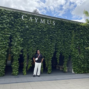Caymus Vineyards - Entrance through the vines - Wineries Near Me - Rutherford, California