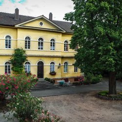 Weingut Lingenfelder