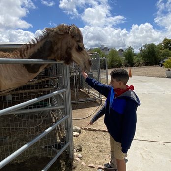 Sugarplum Zoo - Chocolatiers & Shops Near Me - Temecula, California