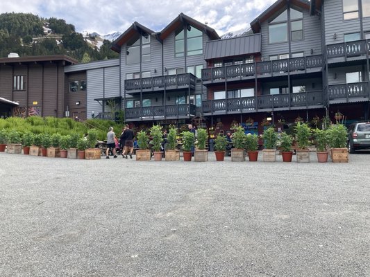 The Bake Shop by null