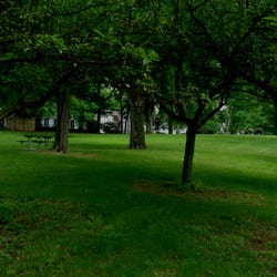 Bill Moose Memorial - Nice meadow.