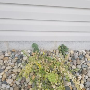 Tholens' Landscape & Garden Center - small plant in a rock bed - Nurseries & Gardening Near Me - Bourbonnais, Illinois Tholens' Landscape & Garden Center - small plant in a rock bed - Nurseries & Gardening Near Me - Bourbonnais, Illinois