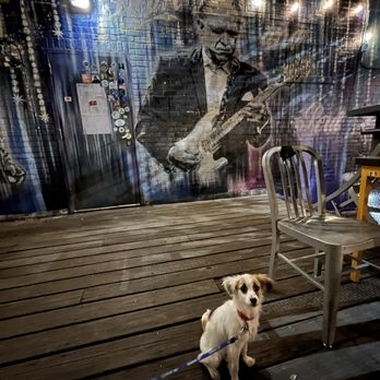 C-Boys Heart & Soul - Molly hanging out on the patio. - Dive Bars Near Me - Austin, Texas C-Boys Heart & Soul - Molly hanging out on the patio. - Dive Bars Near Me - Austin, Texas