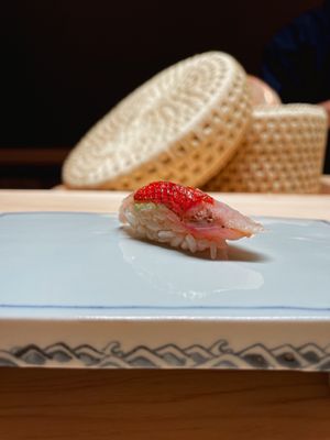 SHINGO by null