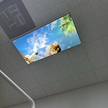 Summerhills Dental - General Dentistry Near Me - Las Vegas, Nevada Summerhills Dental - General Dentistry Near Me - Las Vegas, Nevada