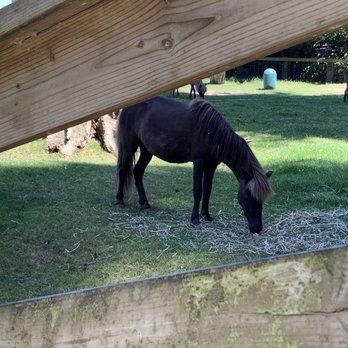 Sequoia Park Zoo - Zoos Near Me - Eureka, California