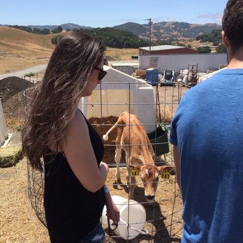 Achadinha Cheese - Cheese Shops Near Me - Petaluma, California