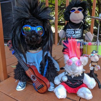 Audubon Veterinary Clinic - Ready to go on tour!! - Veterinarians Near Me - Spokane, Washington