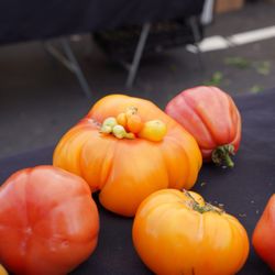 Westlake Village Farmers' Market