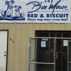Blue Moose Bed and Biscuit - Entrance to the Blue Moose Bed & Biscuit.