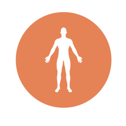 The Runners Mechanic - Image from website.