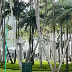 SoundScape Park Miami Beach