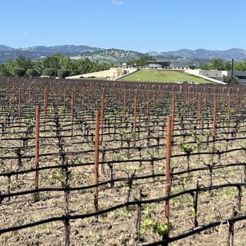 Opus One Winery - Wineries Near Me - Oakville, California Opus One Winery - Wineries Near Me - Oakville, California