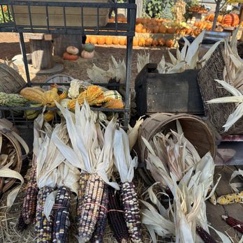 Sons Farm Fresh - Fruits & Veggies Near Me - Oakdale, California Sons Farm Fresh - Fruits & Veggies Near Me - Oakdale, California