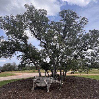 Rhinory - Wineries Near Me - Fredericksburg, Texas Rhinory - Wineries Near Me - Fredericksburg, Texas