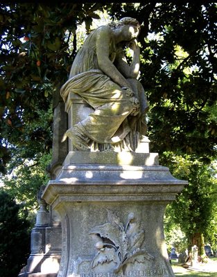 Elmwood Cemetery by null