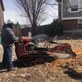A-Class Tree Service - Stump Grinding - Tree Services Near Me - Colorado Springs, Colorado A-Class Tree Service - Stump Grinding - Tree Services Near Me - Colorado Springs, Colorado