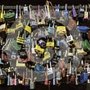 Photo of Lockey Distributors