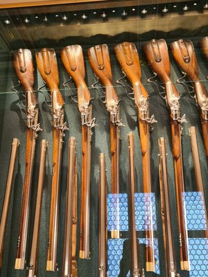 Residenzschloss by null