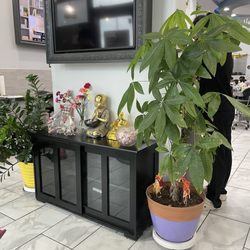 Legendary Nails & Spa - Waiting area, you can find nail designs for inspiration. It's a cozy area but well maintained.