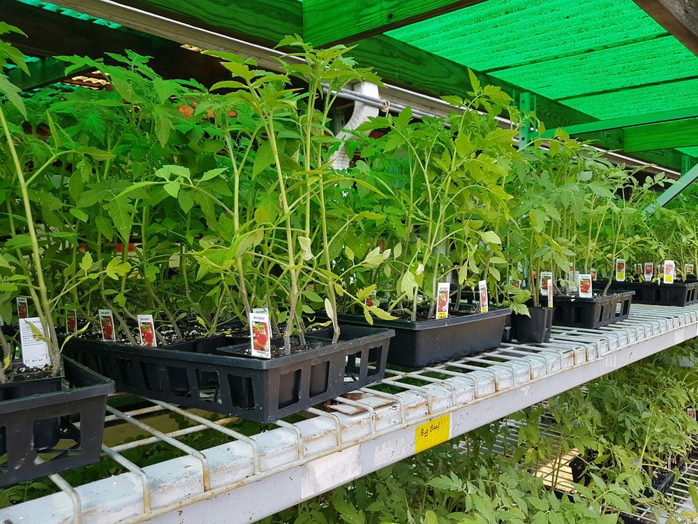 ster Hardware at Christina Mann blog