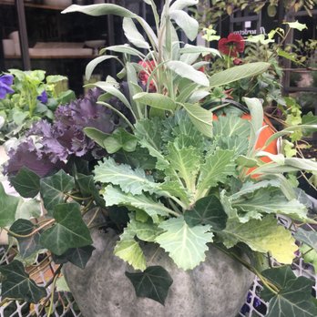 Fleurdetroit - Nurseries & Gardening Near Me - Bloomfield Hills, Michigan