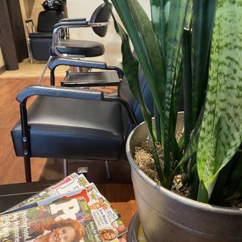 Absolute Aesthetic - Skin Care Near Me - Elmhurst, Illinois