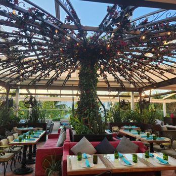 Serena - Mexican Near Me - Miami Beach, Florida