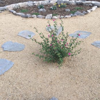 Alexander's Landscaping - Landscaping Near Me