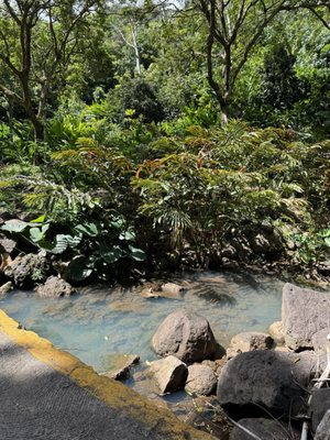 Waimea Valley by null