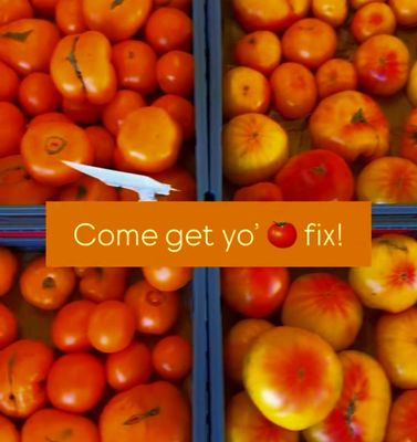 Sang Lee Farms by null