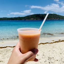 Perfection Connection - Island Girl Smoothie (Strawberry, Banana, Mango, Pineapple)