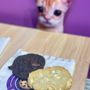 Photo of Insomnia Cookies