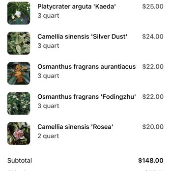 Nurseries Caroliniana - Paid for 4days shipping and I'm not receive the plant yet , over 1 week . - Nurseries & Gardening Near Me - North Augusta, South Carolina Nurseries Caroliniana - Paid for 4days shipping and I'm not receive the plant yet , over 1 week . - Nurseries & Gardening Near Me - North Augusta, South Carolina