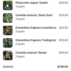 Nurseries Caroliniana - Paid for 4days shipping and I'm not receive the plant yet , over 1 week .