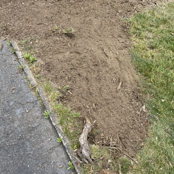 JRs Tree Service - Damaged grass - Tree Services Near Me - Jamaica, New York