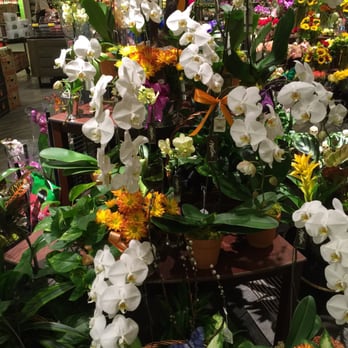 Vons - Grocery Near Me - Fresno, California
