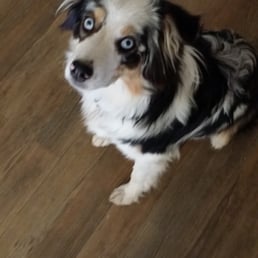 "Did I hear I'm going to Ginas?"