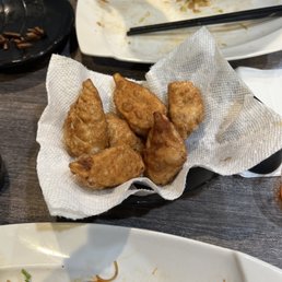 Pan Fried Dumplings