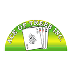 Ace Of Trees