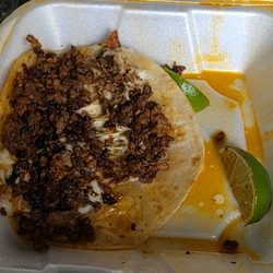 The Taco Stand Taqueria - Taylor - Campechano  Quesadillas