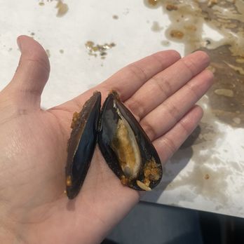 Bubbas Crab House - Black mussels are very tiny!!! The green mussels are bigger!! - Cajun/Creole Near Me - Riverside, California Bubbas Crab House - Black mussels are very tiny!!! The green mussels are bigger!! - Cajun/Creole Near Me - Riverside, California