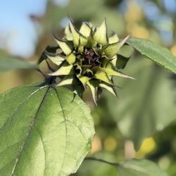 Levee Pond Park - 9/19/26