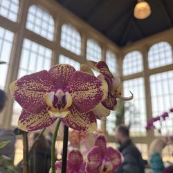 Howard Peters Rawlings Conservatory and Botanic Gardens