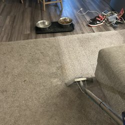 Dsteamer - Carpet Cleaning